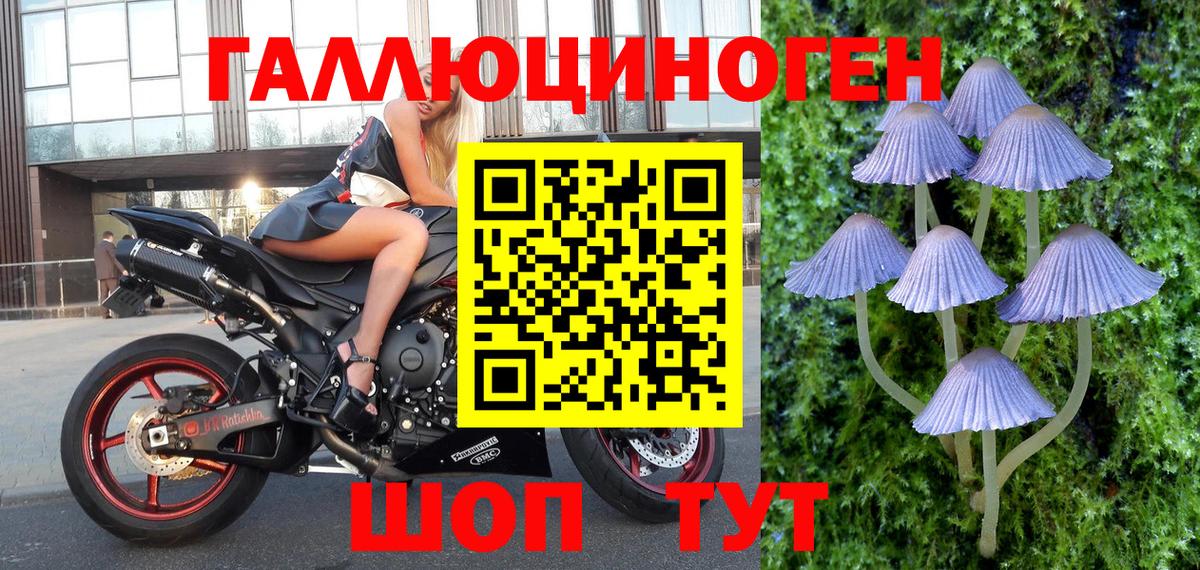 Псилоцибиновые грибы Psilocybine cubensis  Псилоцибиновые грибы MAGIC MUSHROOMS  Вход с VPN  где купить наркоту  Видное 